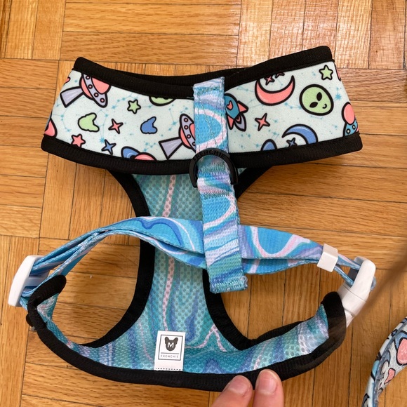 Small dog harness and leash - Picture 2 of 3